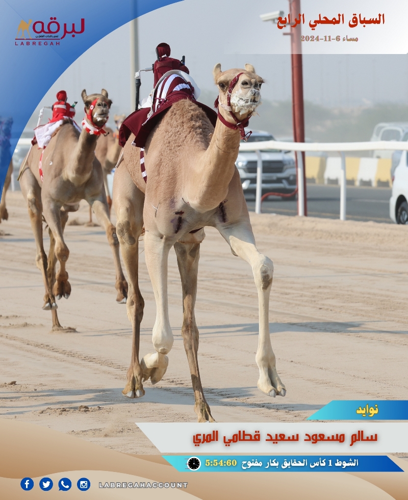 قمة الإثارة في تحديات رموز الحقايق بمهرجان تسعيرة هجن الشحانية