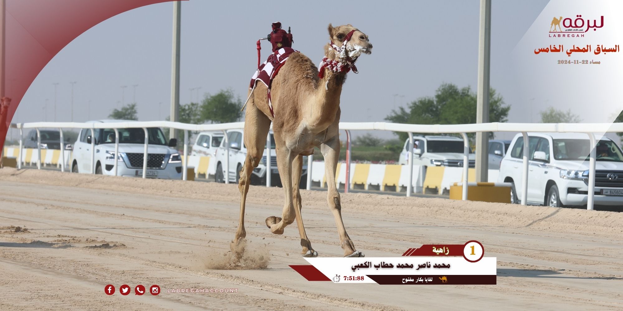 بن حطاب الكعبي وحمود الجحافي ينتزعان ناموسي البكار والقعدان