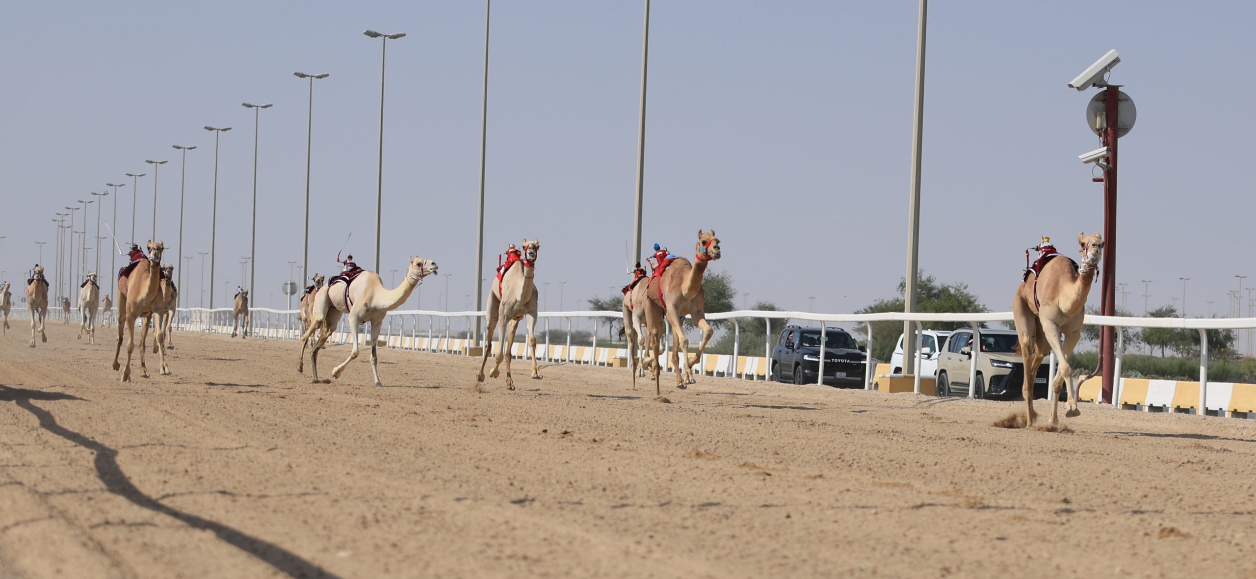 “وهج” الرئاسة و”جميل” أم الزبار ينتزعان ناموسي الجذاع مفتوح