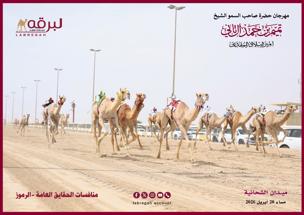 بريق رموز الحقايق يضيء سماء ميدان الشحانية